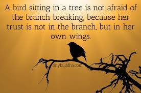 a bird sitting in a tree